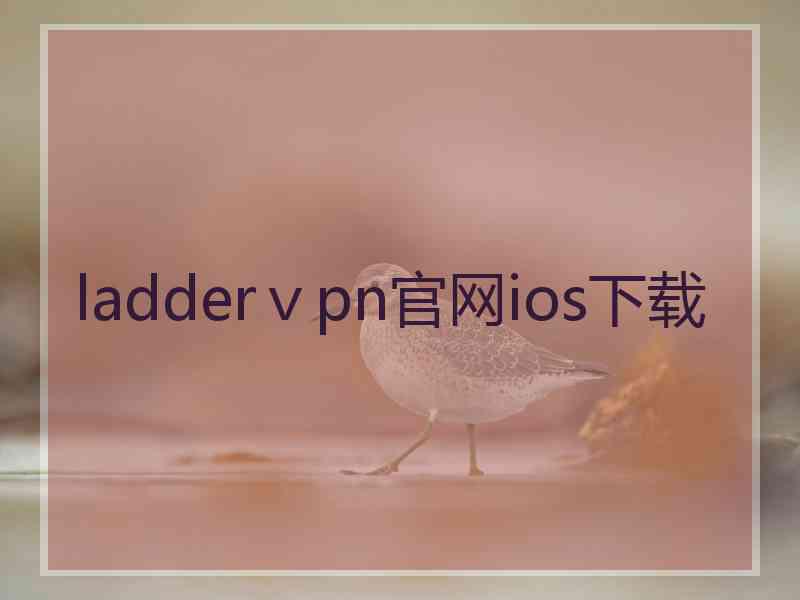 ladderⅴpn官网ios下载