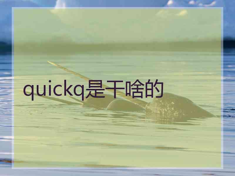 quickq是干啥的
