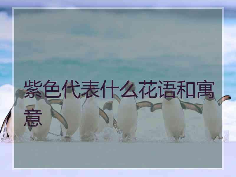 紫色代表什么花语和寓意