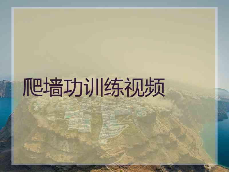 爬墙功训练视频