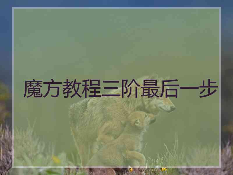 魔方教程三阶最后一步