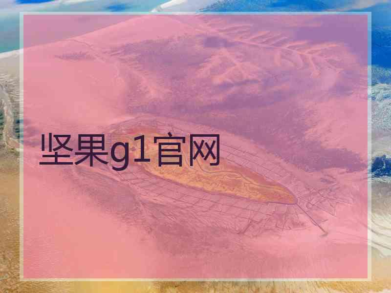 坚果g1官网