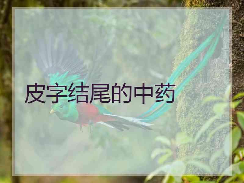 皮字结尾的中药