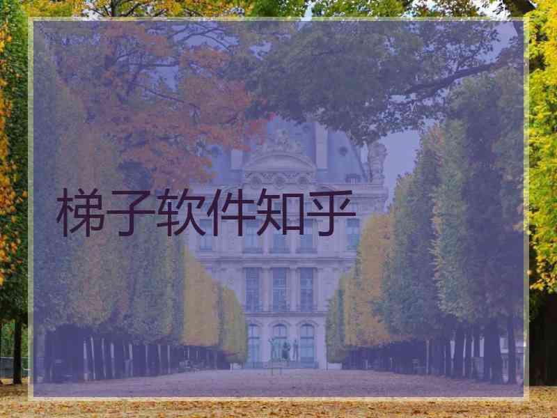 梯子软件知乎