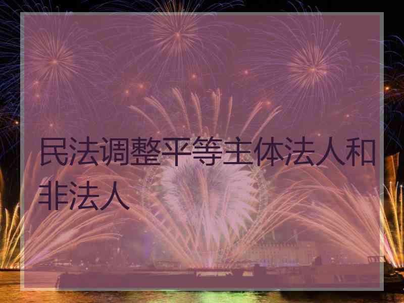 民法调整平等主体法人和非法人
