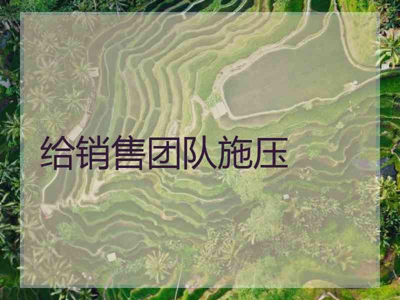 给销售团队施压