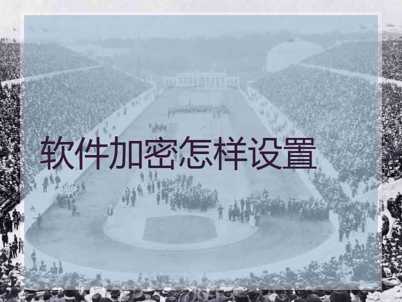 软件加密怎样设置