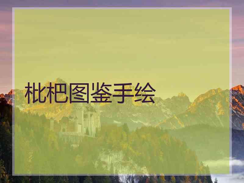 枇杷图鉴手绘
