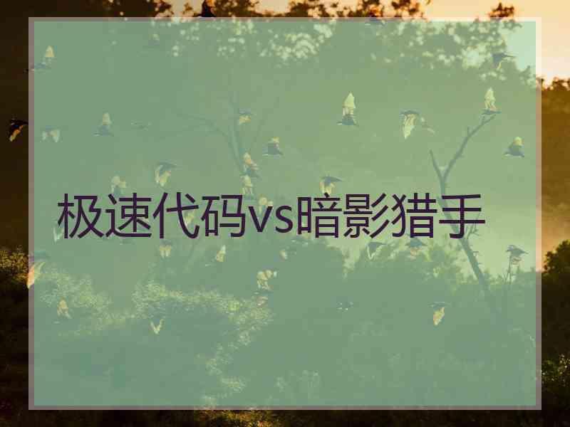 极速代码vs暗影猎手