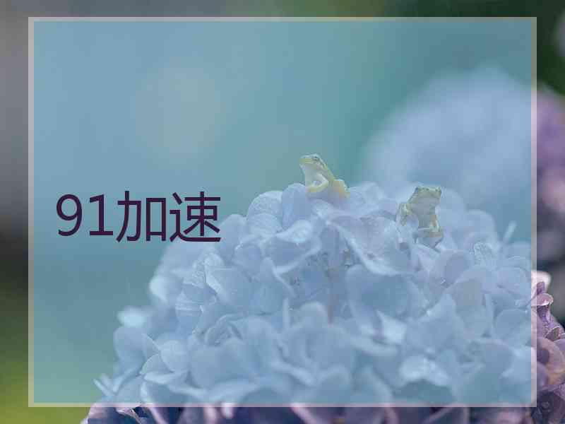 91加速