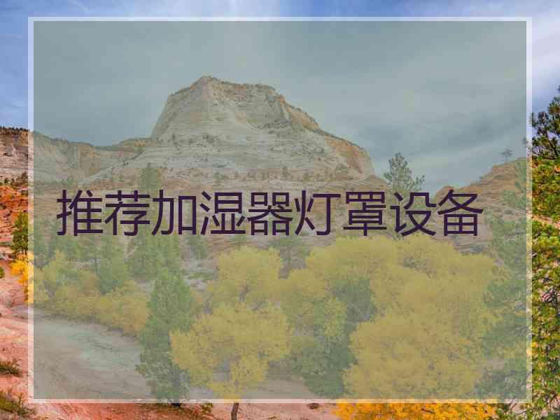推荐加湿器灯罩设备