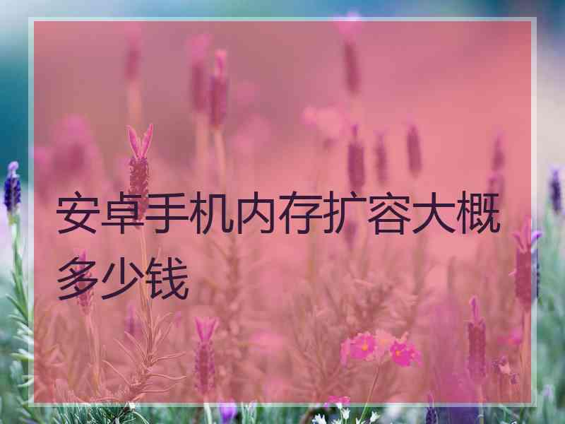 安卓手机内存扩容大概多少钱