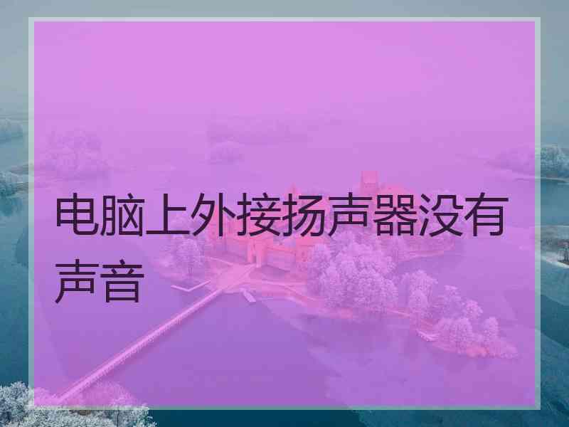 电脑上外接扬声器没有声音