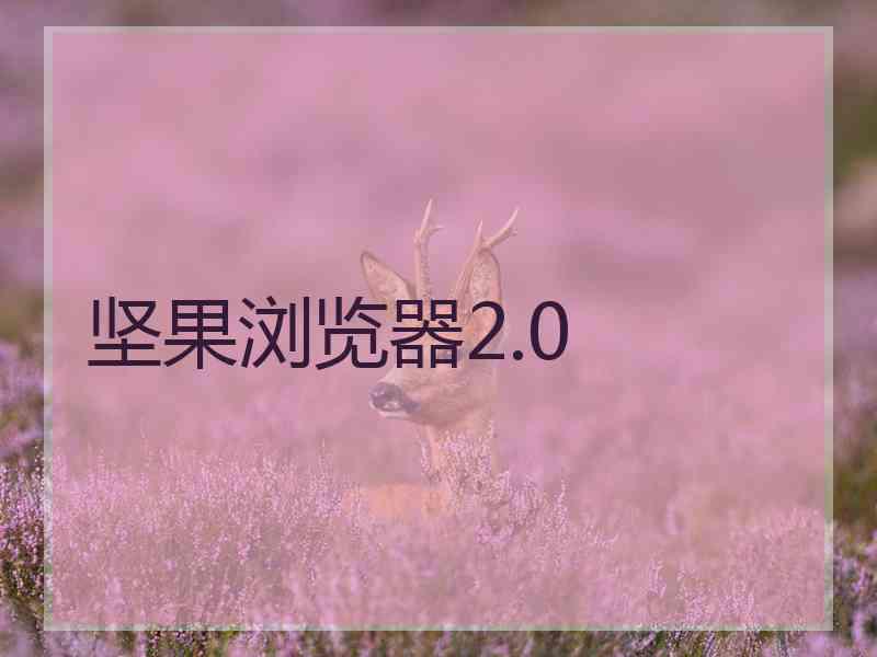 坚果浏览器2.0
