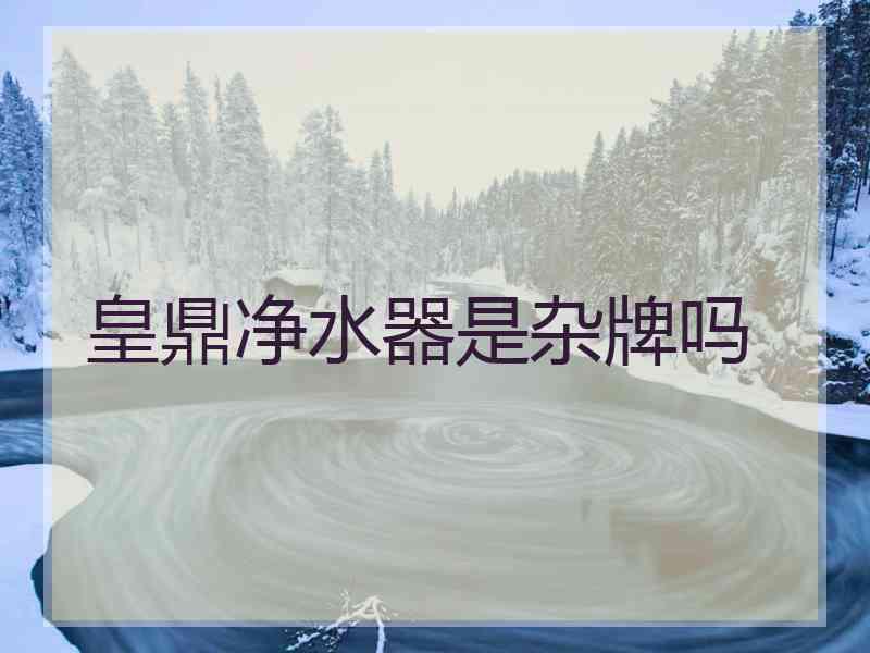 皇鼎净水器是杂牌吗