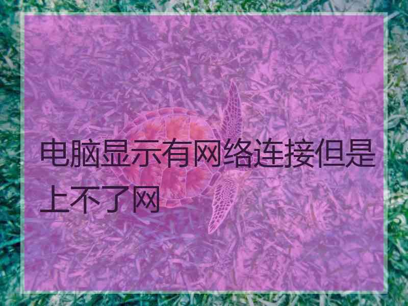 电脑显示有网络连接但是上不了网