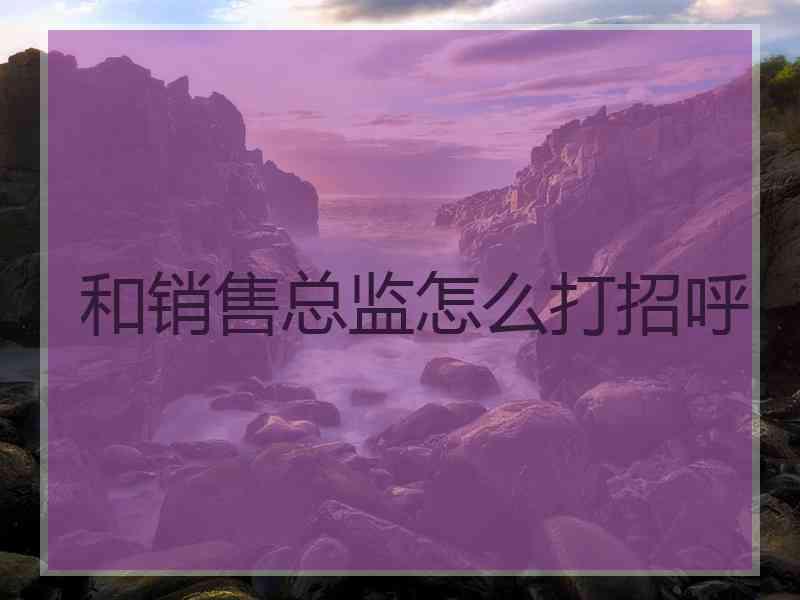 和销售总监怎么打招呼