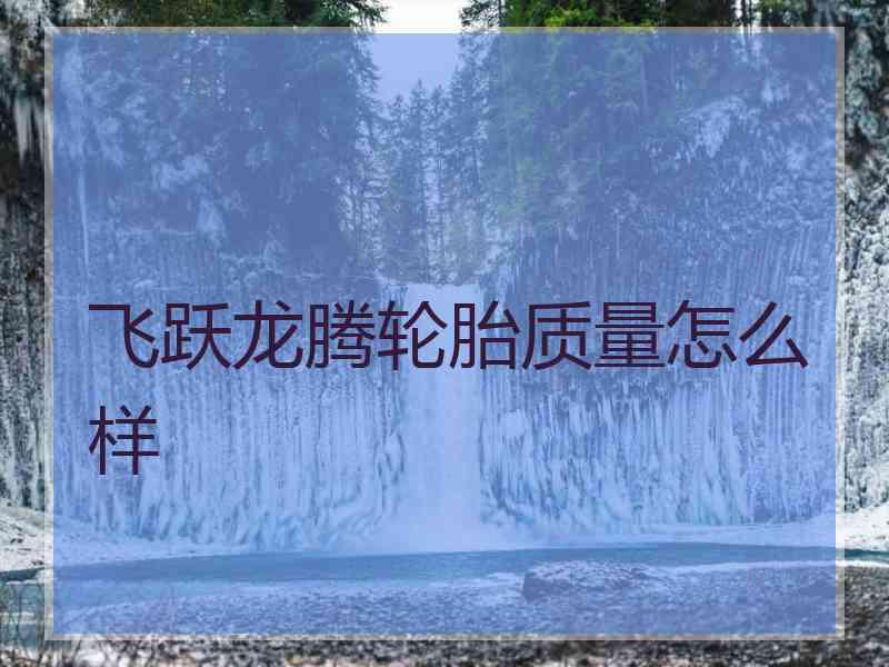 飞跃龙腾轮胎质量怎么样