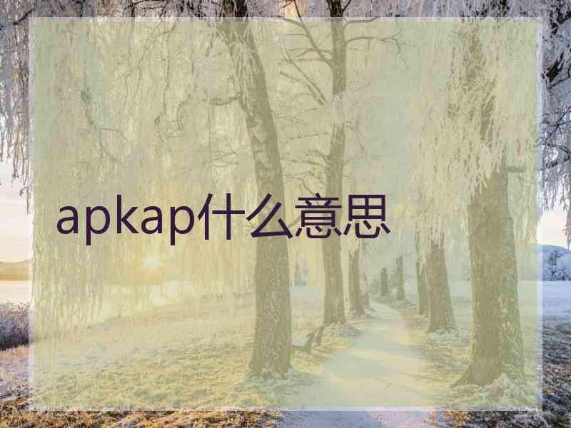 apkap什么意思