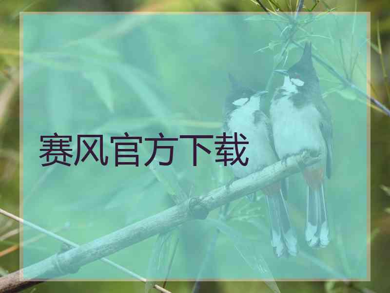 赛风官方下载