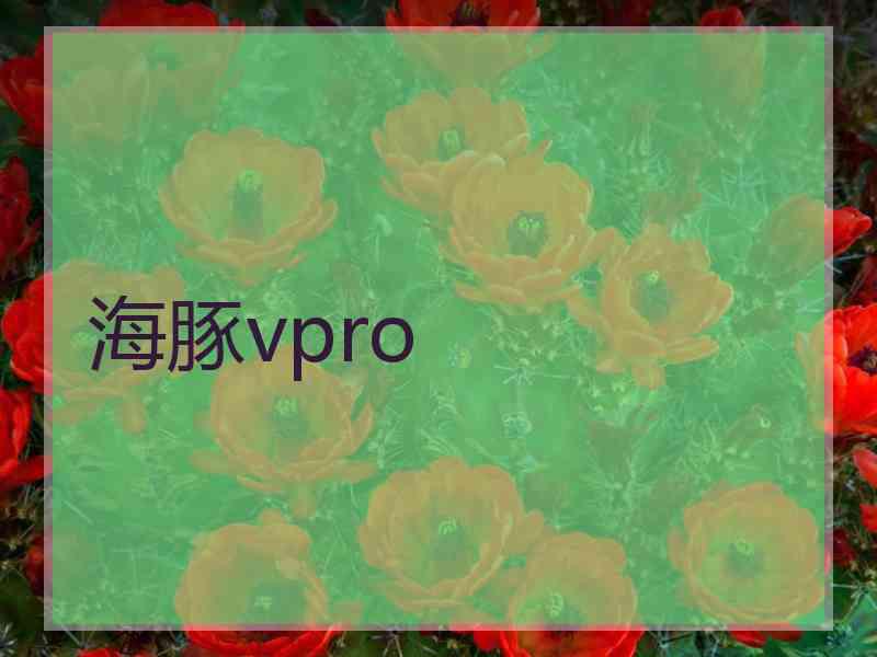 海豚vpro