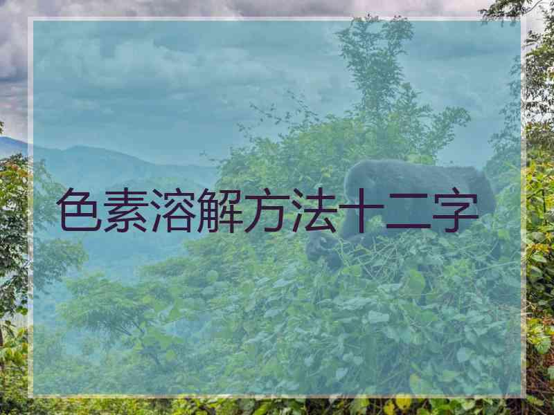 色素溶解方法十二字