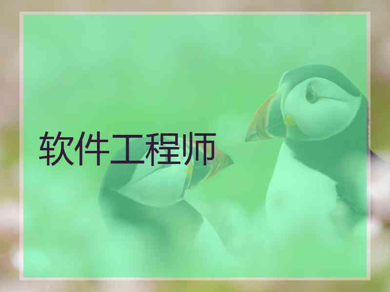 软件工程师