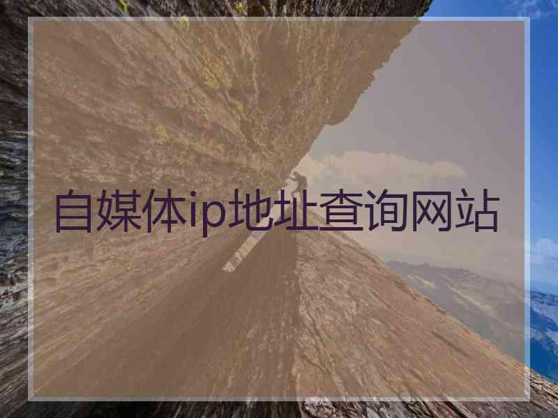 自媒体ip地址查询网站