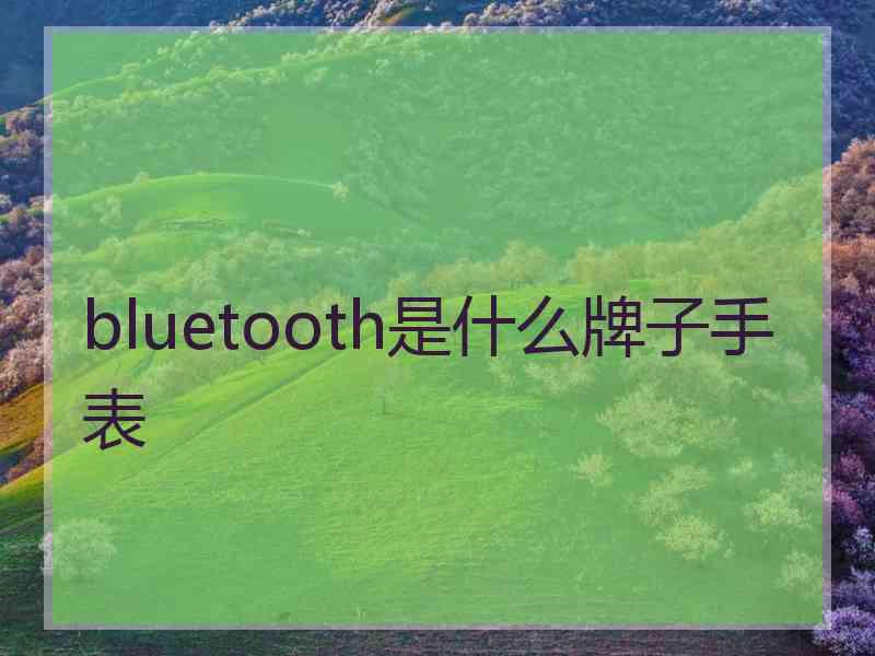 bluetooth是什么牌子手表