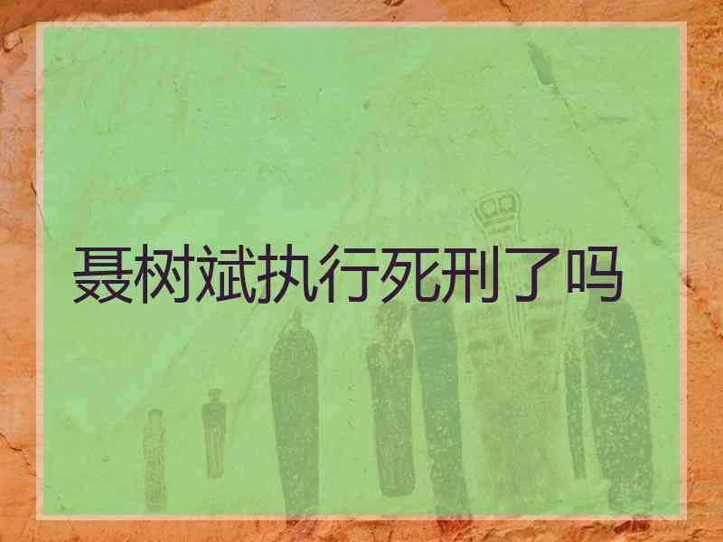 聂树斌执行死刑了吗