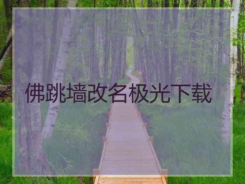 佛跳墙改名极光下载