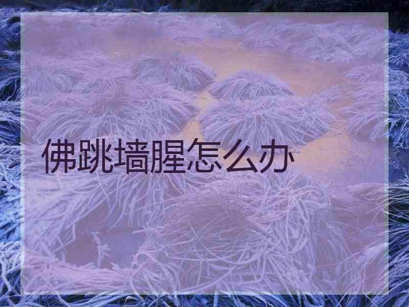 佛跳墙腥怎么办