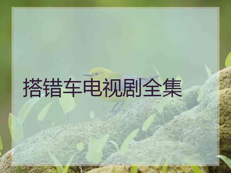 搭错车电视剧全集