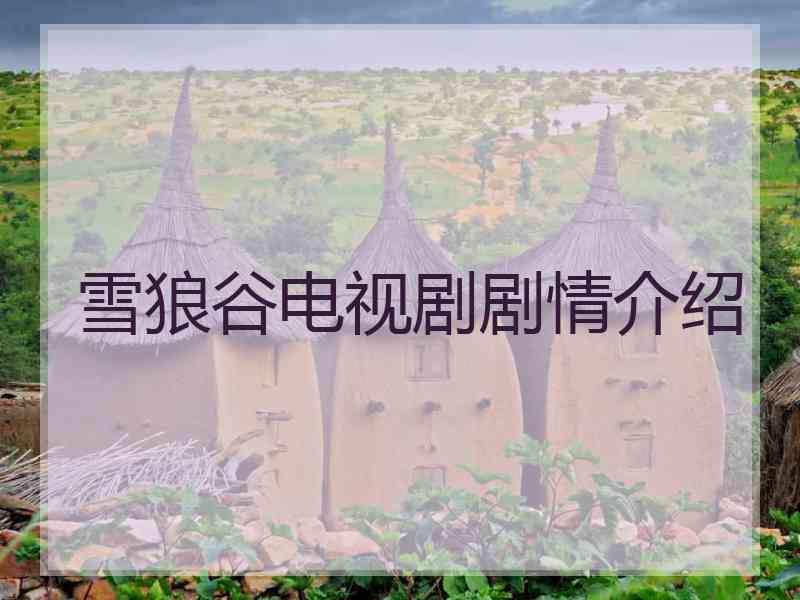 雪狼谷电视剧剧情介绍