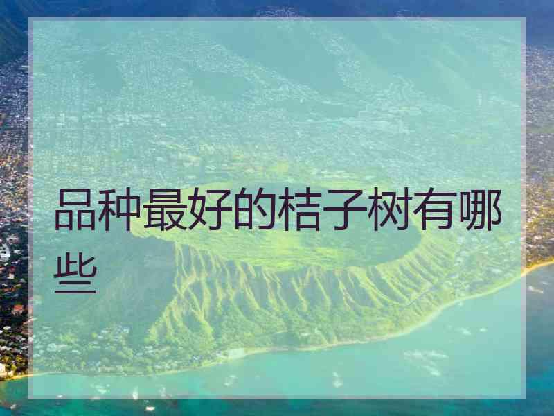 品种最好的桔子树有哪些