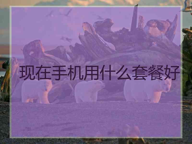 现在手机用什么套餐好