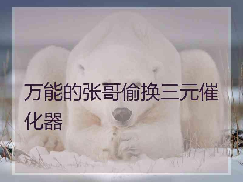 万能的张哥偷换三元催化器
