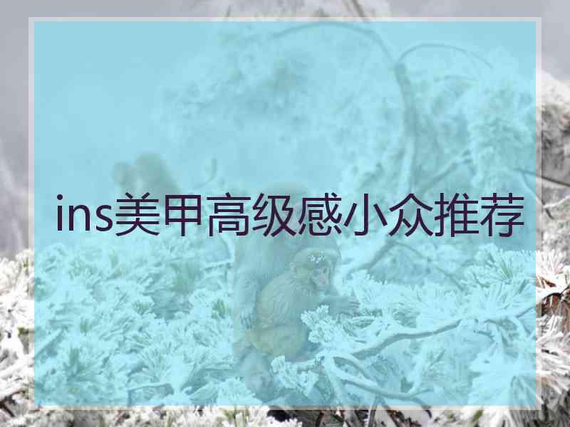 ins美甲高级感小众推荐