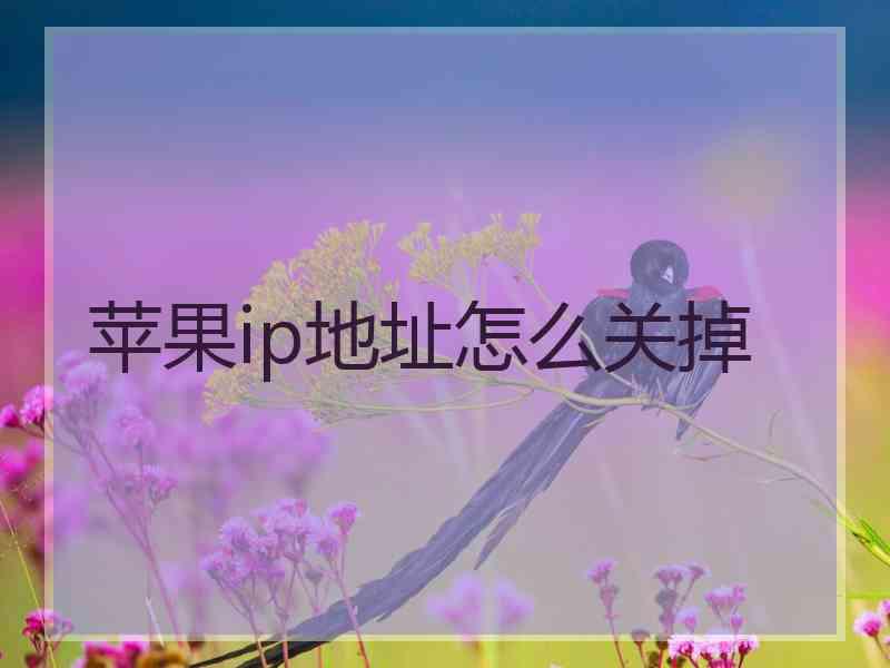 苹果ip地址怎么关掉