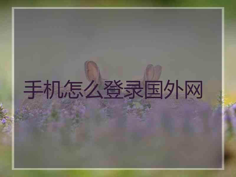 手机怎么登录国外网