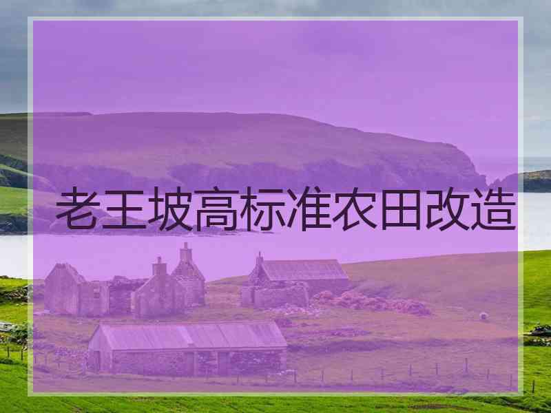老王坡高标准农田改造