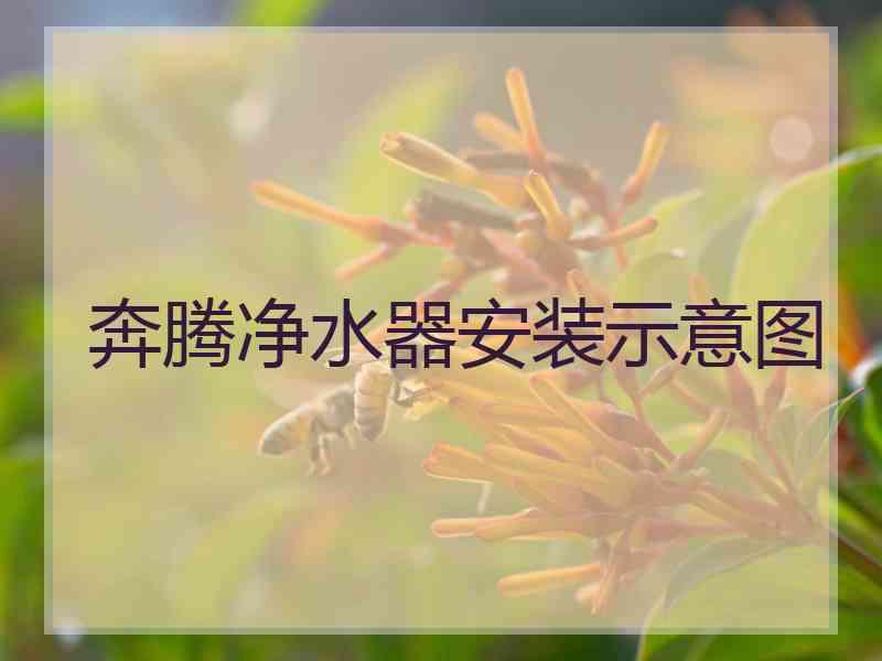 奔腾净水器安装示意图