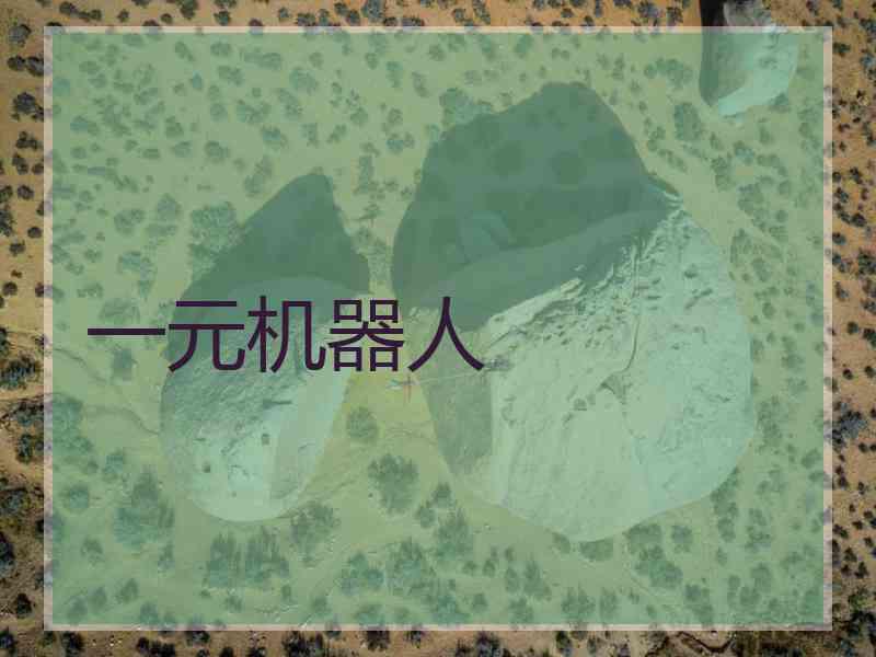 一元机器人