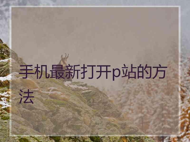 手机最新打开p站的方法
