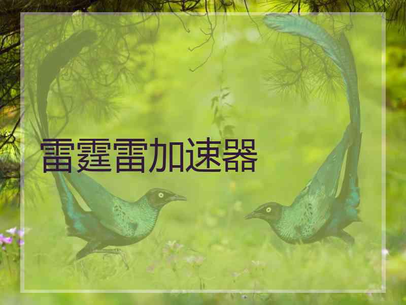 雷霆雷加速器