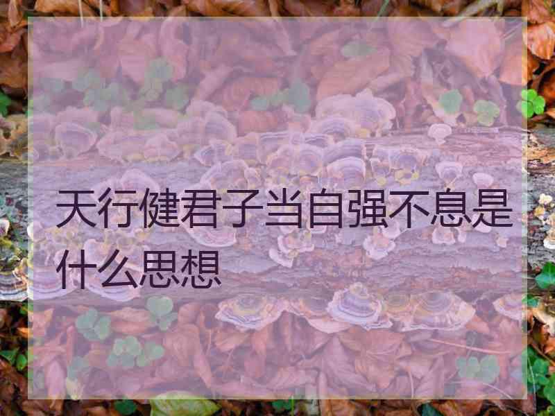 天行健君子当自强不息是什么思想