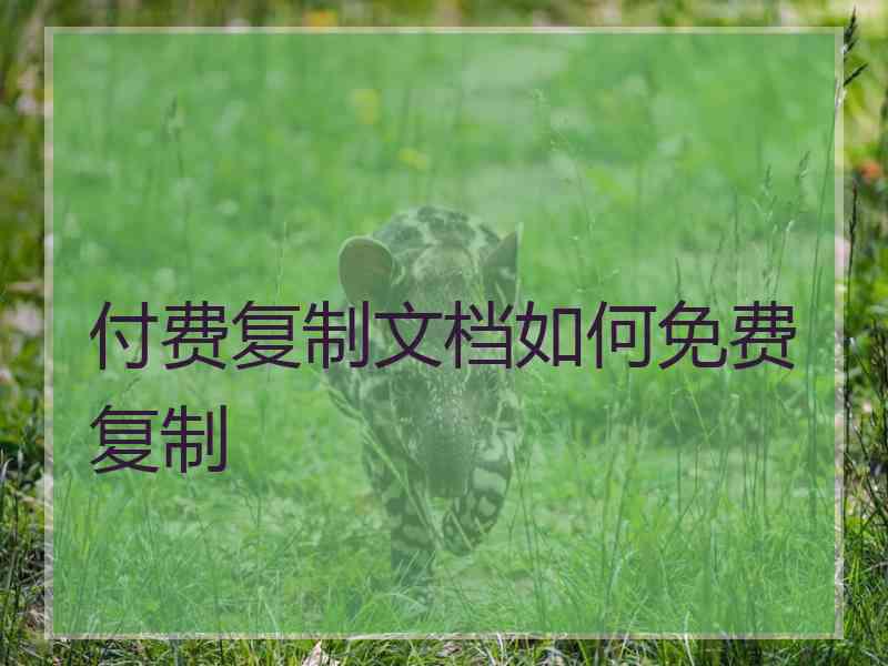 付费复制文档如何免费复制