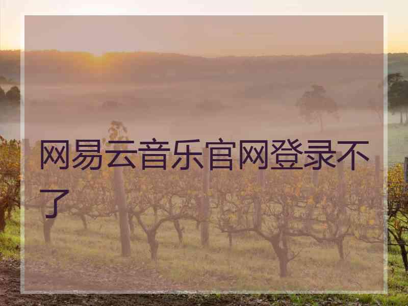 网易云音乐官网登录不了