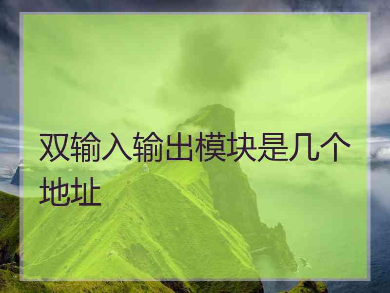 双输入输出模块是几个地址