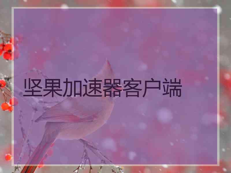 坚果加速器客户端
